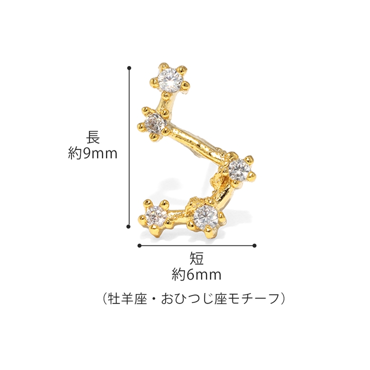 ピアス かわいい十二星座ホロスコープ星 金属アレルギー[品番