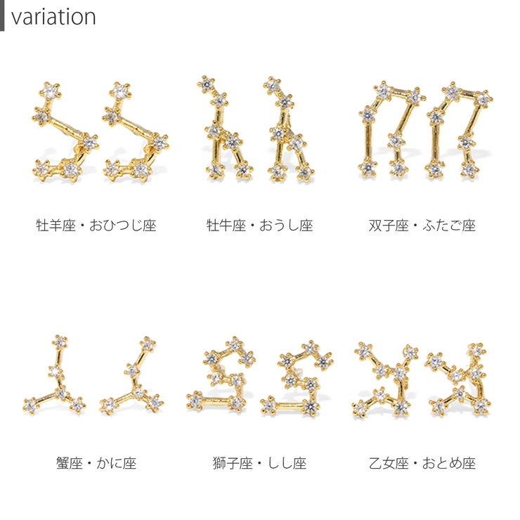 ピアス かわいい十二星座ホロスコープ星 金属アレルギー[品番