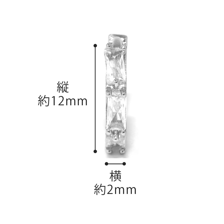 ピアス 金属アレルギーフープニッケルフリー つっけぱなし | ボディピアス専門店凛RIN | 詳細画像11 