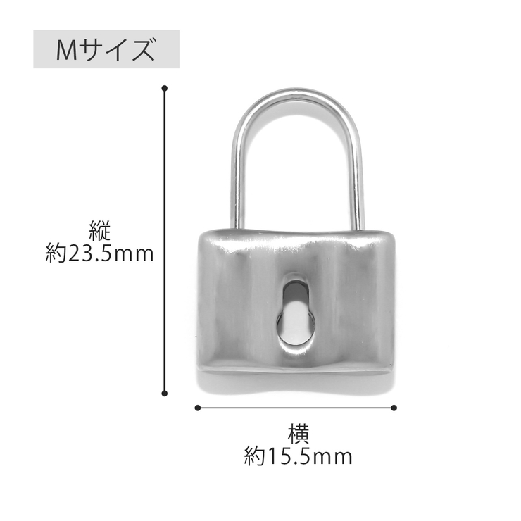 南京錠 鍵鍵穴キー ボディピアスサージカルステンレス[品番