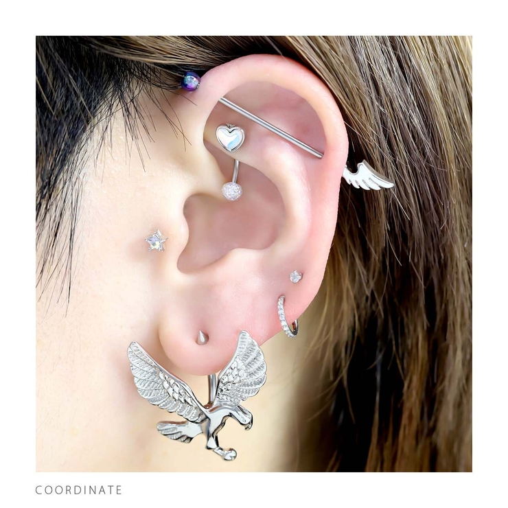 へそピアス 鷲鷹鳥イーグルかっこいい ボディピアス | ボディピアス専門店凛RIN | 詳細画像4 