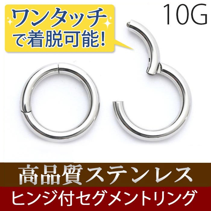 ボディピアス 10G セグメントリング | ボディピアス専門店凛RIN | 詳細画像1 