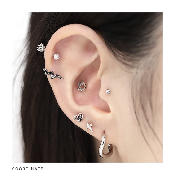 軟骨ピアス ヘビスネークシルバースタイリッシュかっこいい
