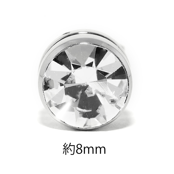 ステンレスピアス サージカルステンレス 金属アレルギー対応 | ボディピアス専門店凛RIN | 詳細画像8 