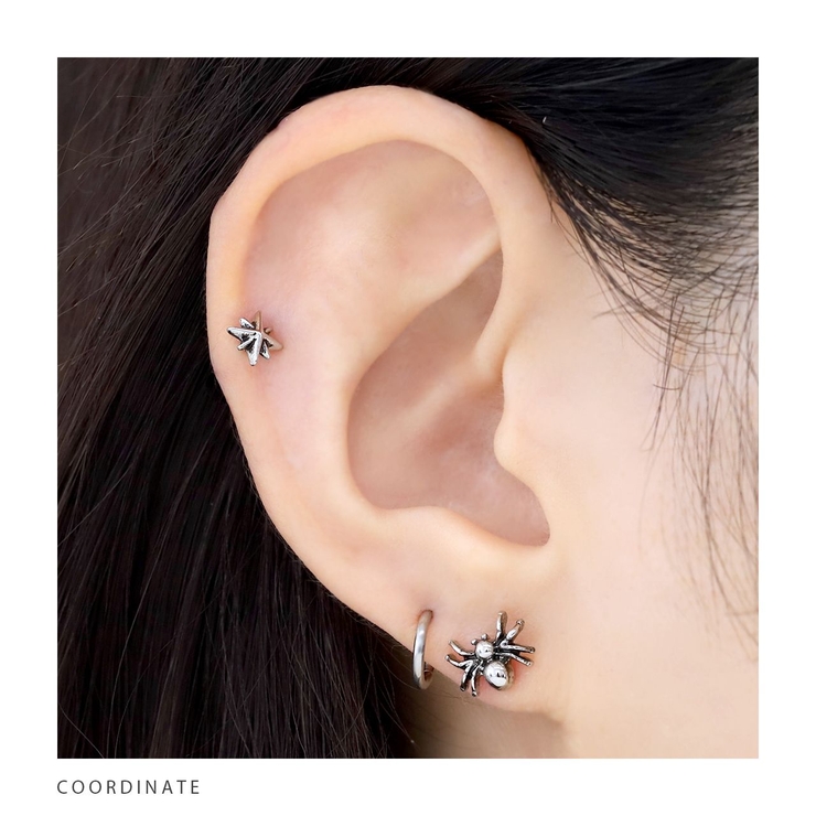 軟骨ピアス 蜘蛛スパイダークモタランチュラ毒虫ハロウィン ボディピアス | ボディピアス専門店凛RIN | 詳細画像5 