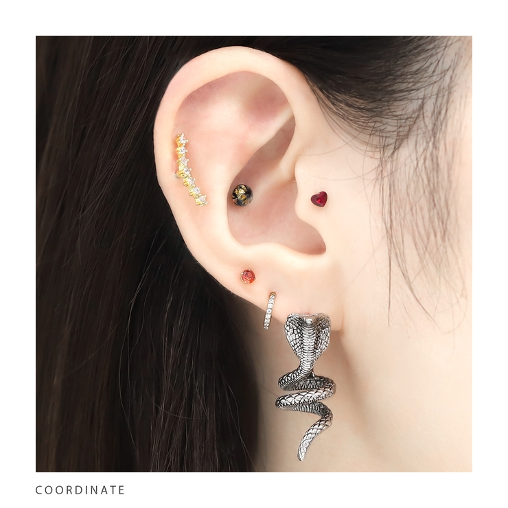 軟骨ピアス コブラ蛇スネークスタイリッシュ セグメントリング | ボディピアス専門店凛RIN | 詳細画像5 