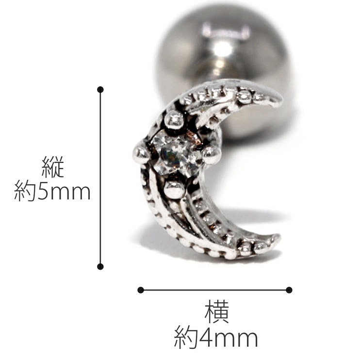 ボディピアス スタイリッシュ 軟骨ピアス | ボディピアス専門店凛RIN | 詳細画像12 