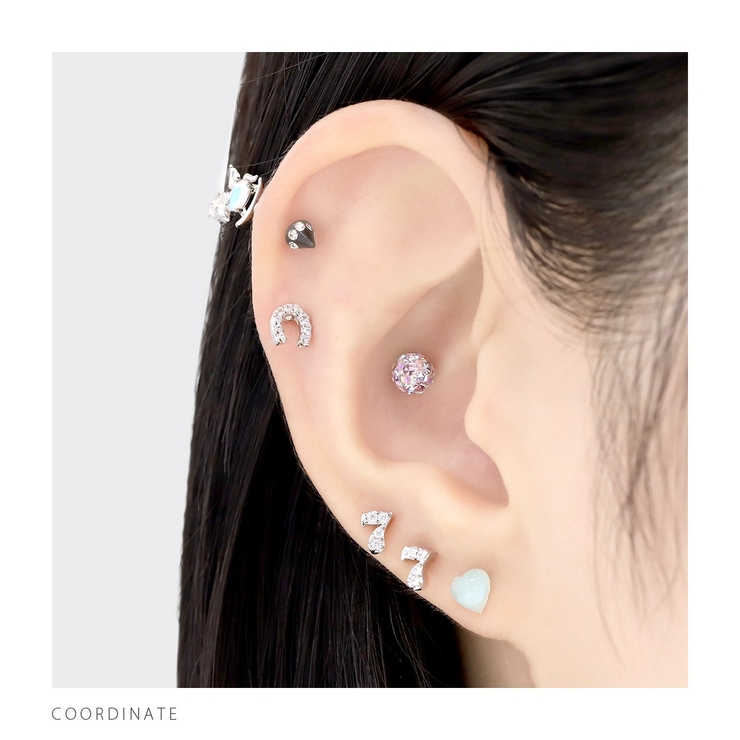 キャッチ ホースシュー馬蹄蹄鉄幸運ていてつジュエル ボディピアス | ボディピアス専門店凛RIN | 詳細画像6 