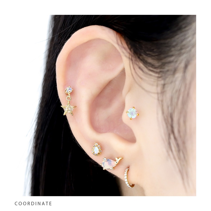 軟骨ピアス 星スタージュエルキュービックジルコニアチャーム揺れる ボディピアス | ボディピアス専門店凛RIN | 詳細画像6 