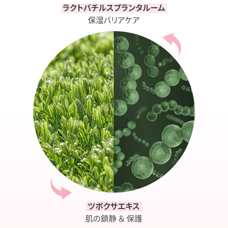 dr Bio公式 毛穴すっきり | Dr.Bio | 詳細画像7 