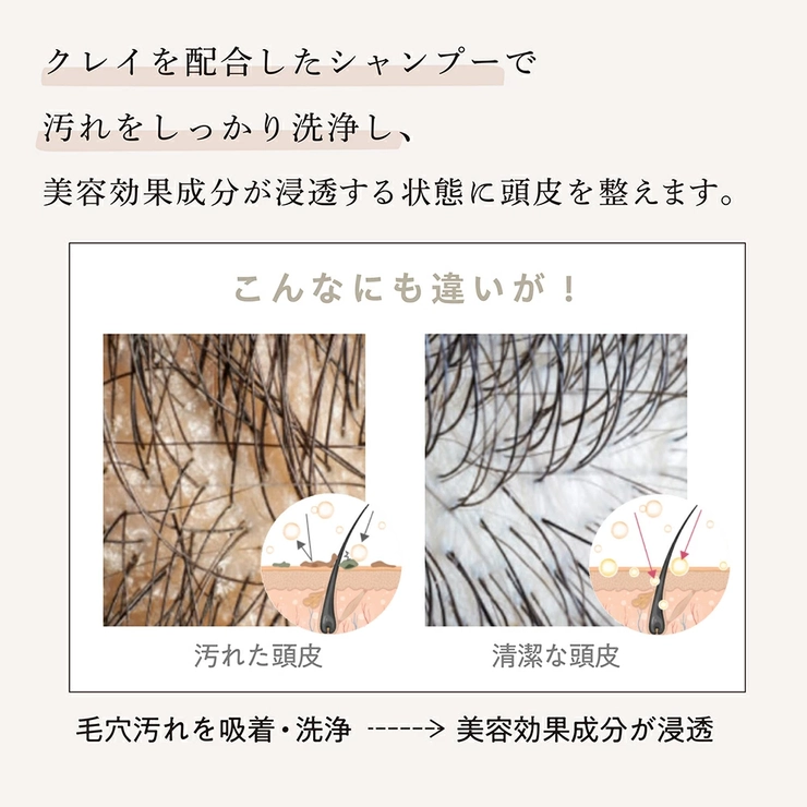 ジョワセル モイストシャンプー 480mL 本体ボトル単品 | GRANJE | 詳細画像8 
