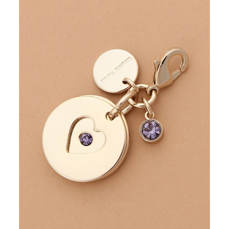 バースデーストーンカラービジューファスナーチャーム（12月） | Samantha Thavasa | 詳細画像1 