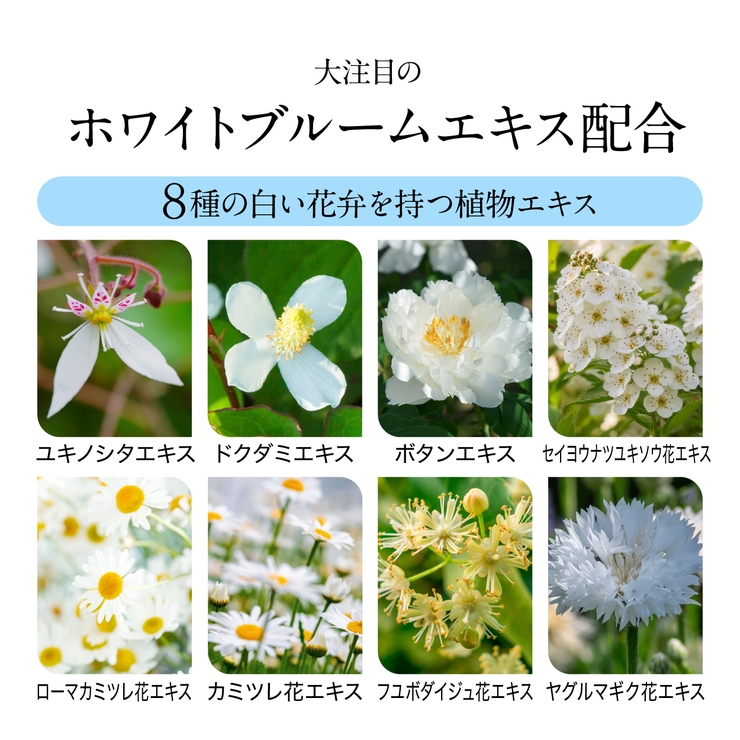 モイストリッチ シートマスク 30枚 レチノール ビタミンC誘導体 CICA | 白くま化粧品 | 詳細画像7 