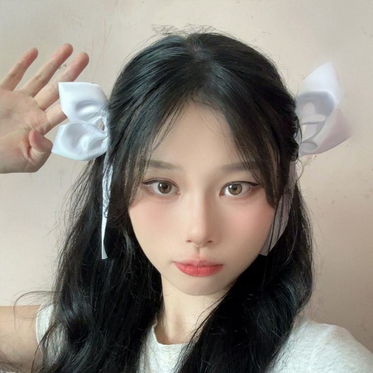 ヘアピン2個セット リボン ヘアアクセサリー | shoppinggo | 詳細画像13 