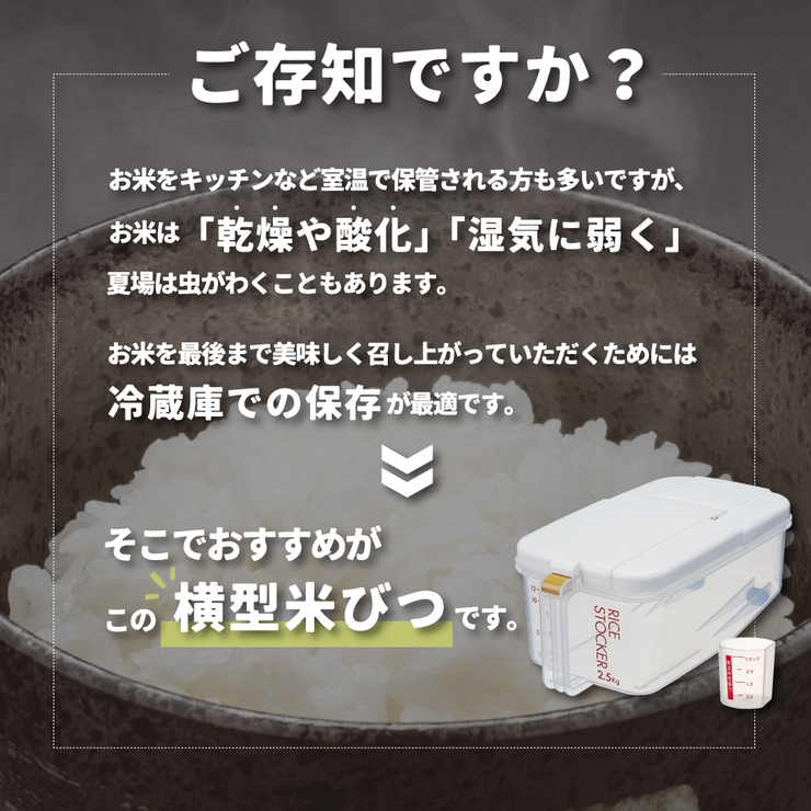 冷蔵庫用 米びつ 横型 | Skater | 詳細画像2 