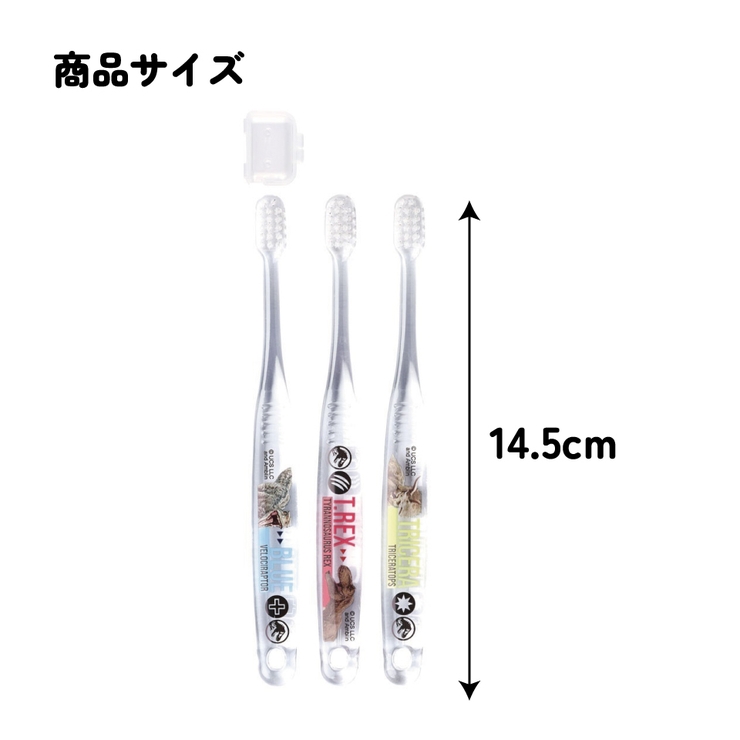 歯ブラシ 子供 セット | Skater【KIDS】 | 詳細画像8 