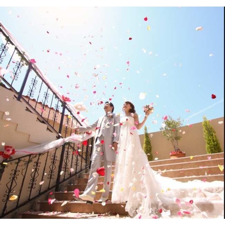 フラワーシャワー 造花 結婚式 品番 Anew くれあぽけっと クレアポケット のキッズファッション通販 Shoplist ショップリスト