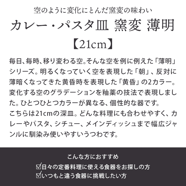 カレー パスタ皿 窯変[品番：ADMH0001598]｜TABLE WARE  EAST（テーブルウェアイースト）のファッション通販｜SHOPLIST（ショップリスト）