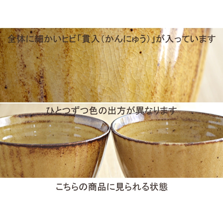 和食器 食器 小鉢 | EAST table | 詳細画像13 