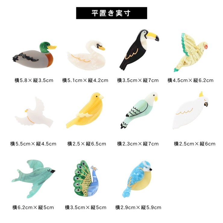 鳥 バード モチーフ | terracotta | 詳細画像12 