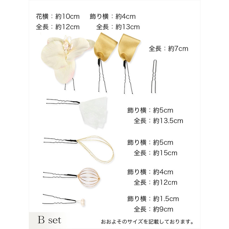 【Alkaa Puketti様】　ヘアピン まとめ売り 美髪 Amazon | Doyime ヘアピン【12本セット】髪 ピン セット 前髪