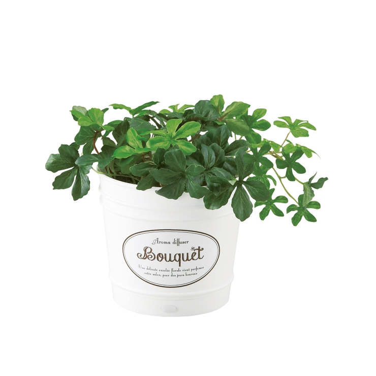 アロマディフューザー ブーケ | Toffy store | 詳細画像1 