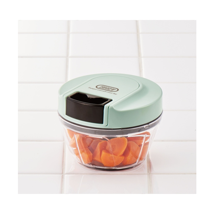 【Toffy/トフィー】 ハンディチョッパーミニⅡ | Toffy store | 詳細画像17 