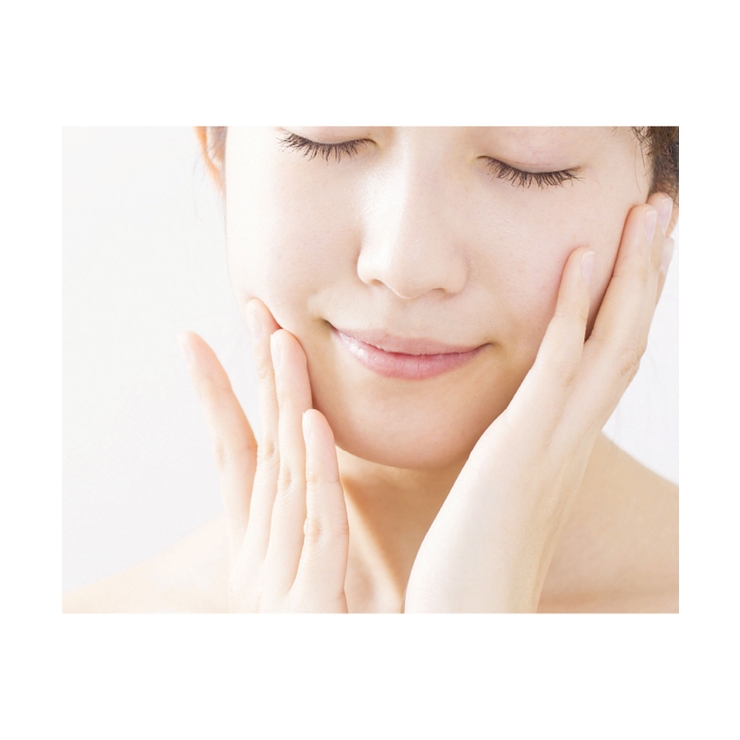 熊野筆 フェイスウォッシュブラシ | Toffy store | 詳細画像12 