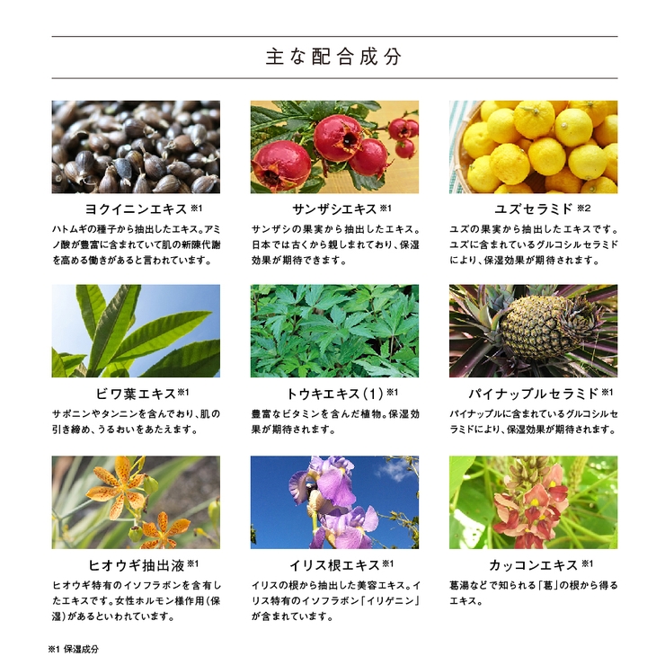 ショップリスト