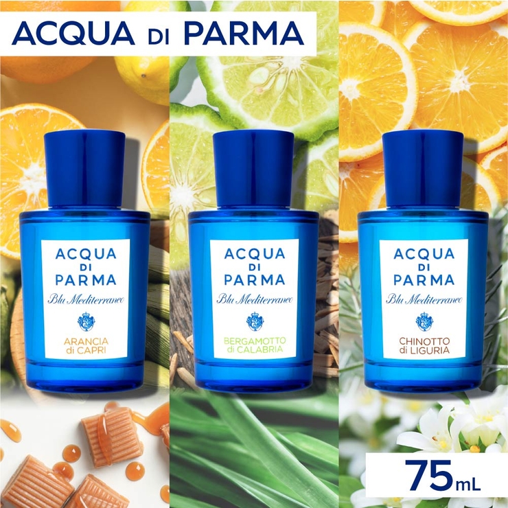 アクアディパルマ ACQUA  DI[品番：TRDW0000004]｜U-STREAM（ユーストリーム）のレディースファッション通販｜SHOPLIST（ショップリスト）