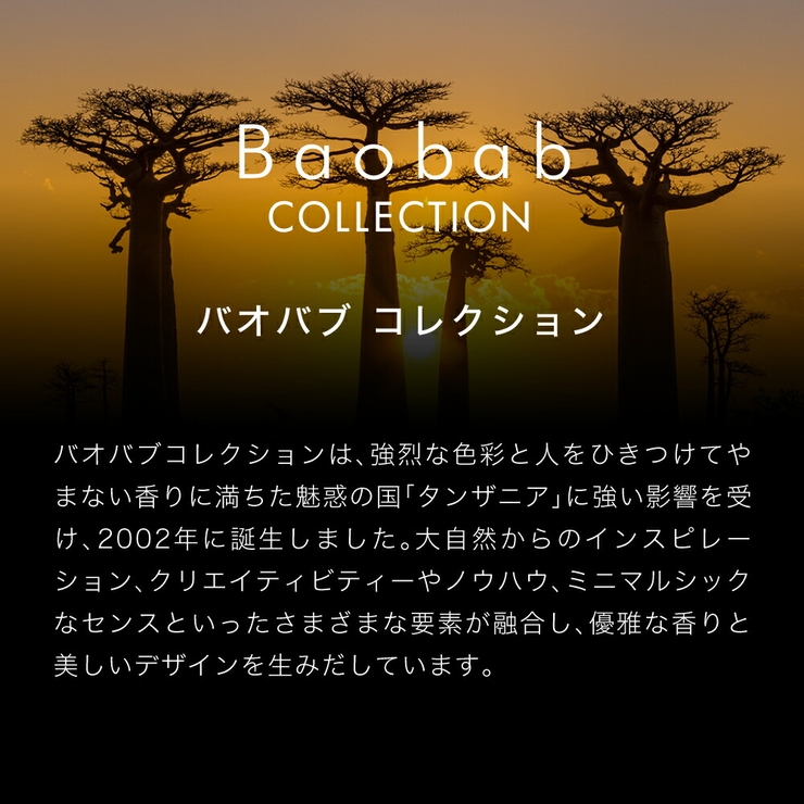 バオバブコレクションBAOBABCOLLECTIONLESEXCLUSIVESディフューザー500mL【ユニセックス雑貨オーラムプラチナエクスクルーシブリードディフューザースティックアロマ】