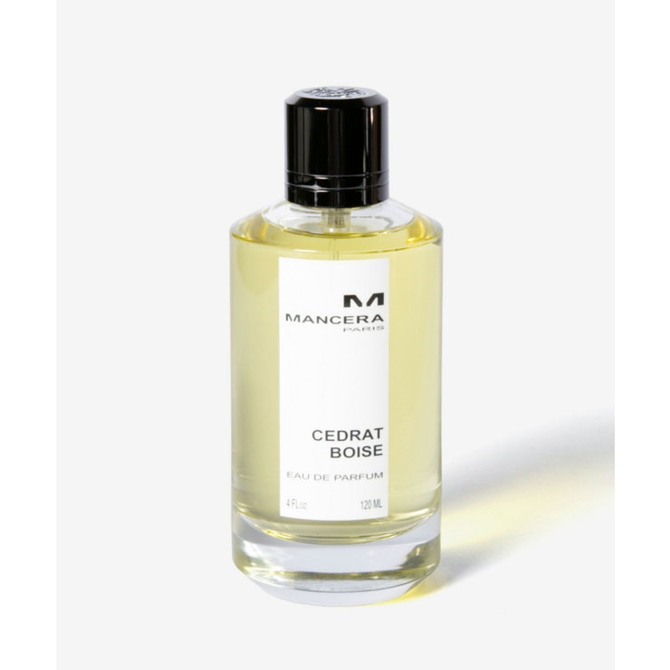 マンセラ MANCERA CEDRAT[品番：TRDW0013719]｜U-STREAM（ユー