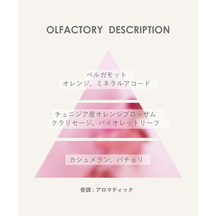 パリスブルー PARIS BLEU | U-STREAM | 詳細画像5 