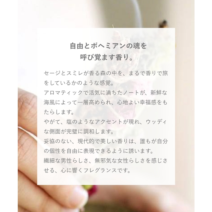 パリスブルー PARIS BLEU | U-STREAM | 詳細画像6 