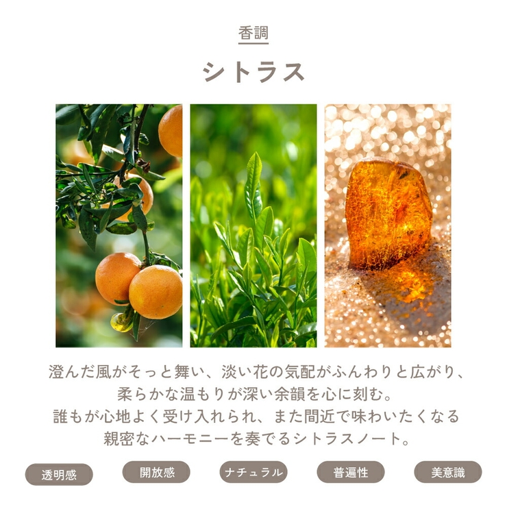 カルバンクライン シーケーワン オードトワレ 香水 50mL 100mL | U.HEALTH＆BEAUTY  | 詳細画像9 