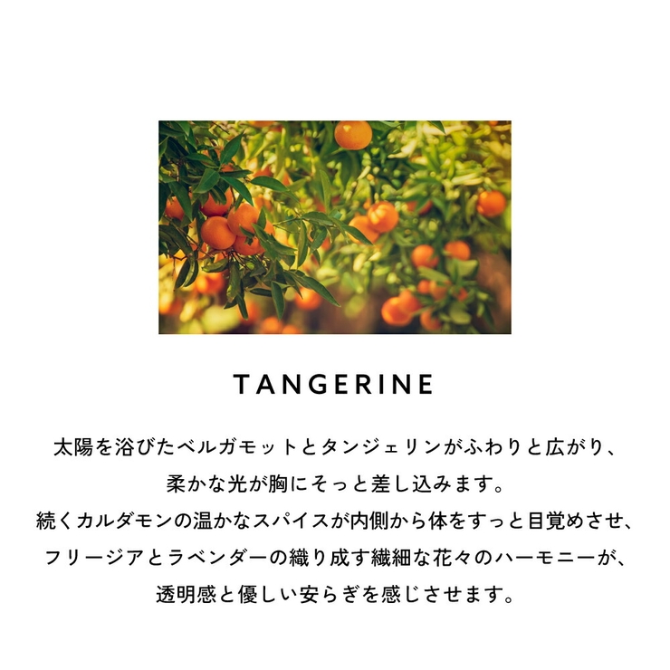 カルバンクライン シーケーワン オードトワレ 香水 50mL 100mL | U.HEALTH＆BEAUTY  | 詳細画像10 