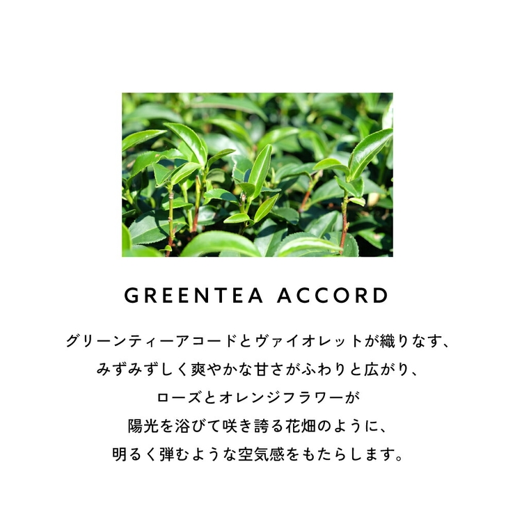 カルバンクライン シーケーワン オードトワレ 香水 50mL 100mL | U.HEALTH＆BEAUTY  | 詳細画像11 