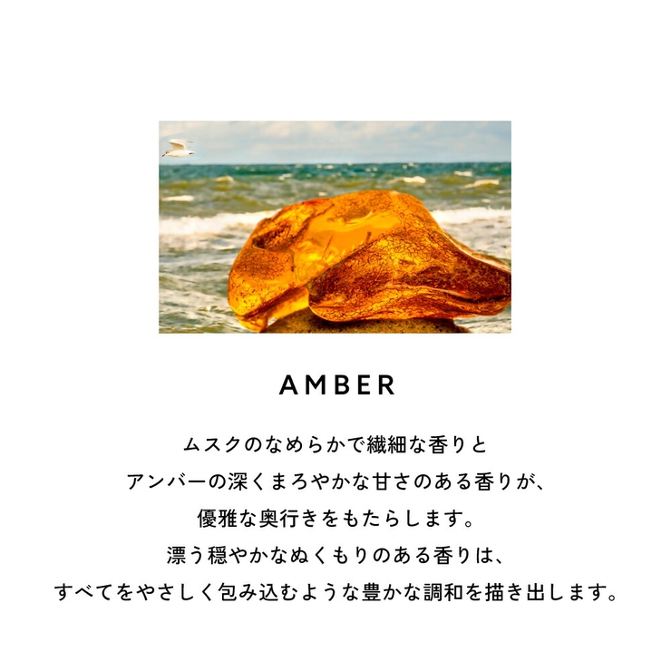 カルバンクライン シーケーワン オードトワレ 香水 50mL 100mL | U.HEALTH＆BEAUTY  | 詳細画像12 