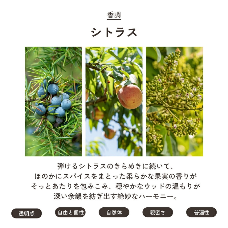 カルバンクライン シーケービー オードトワレ 50mL 100mL 200mL | U.HEALTH＆BEAUTY  | 詳細画像12 