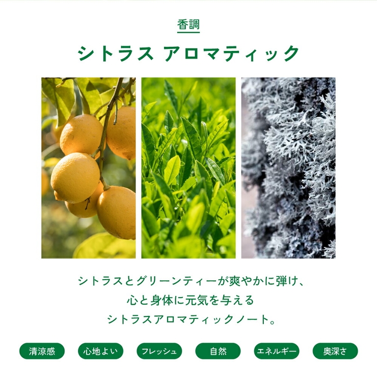 エリザベスアーデン Elizabeth Arden グリーンティー 香水 | U.HEALTH＆BEAUTY  | 詳細画像5 