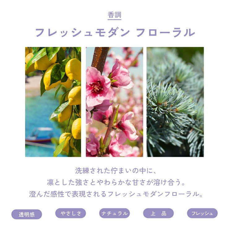 ランバン エクラドゥアルページュ オードパルファム 30mL 50ｍL | U.HEALTH＆BEAUTY  | 詳細画像6 