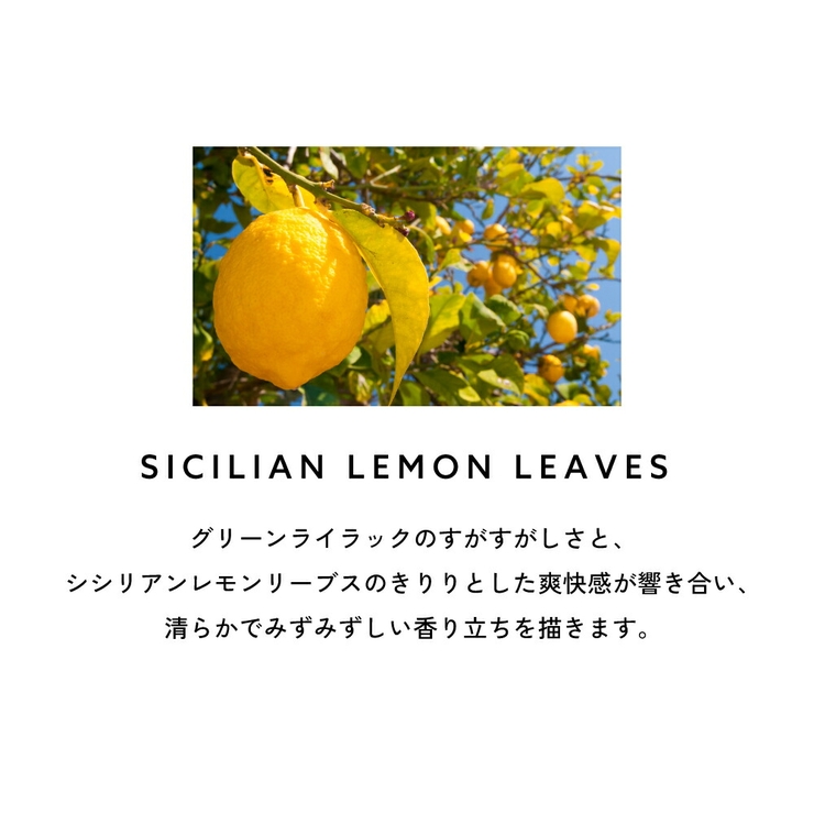 ランバン エクラドゥアルページュ オードパルファム 30mL 50ｍL | U.HEALTH＆BEAUTY  | 詳細画像7 