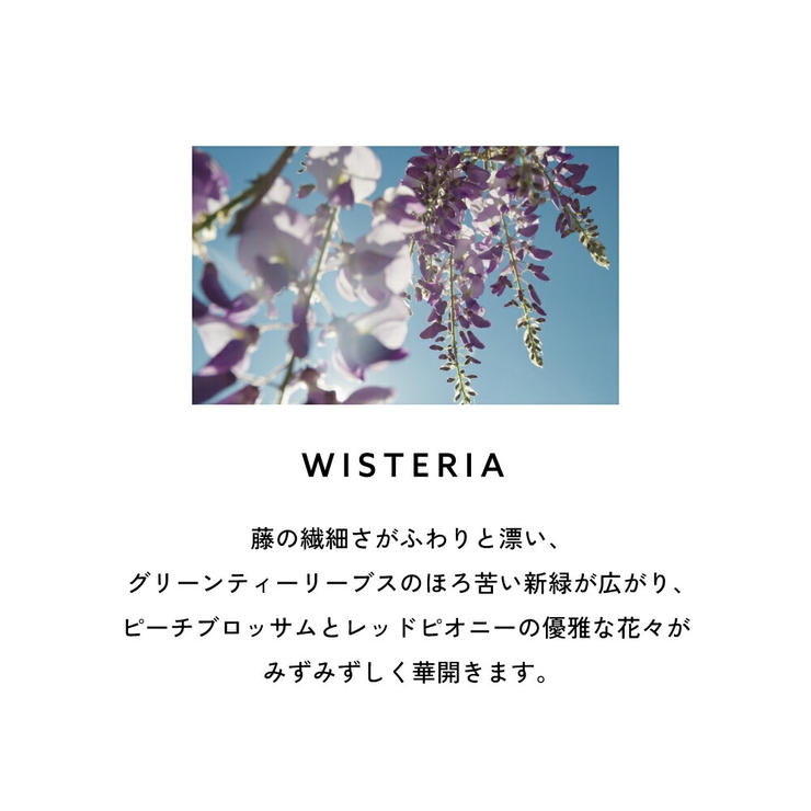 ランバン エクラドゥアルページュ オードパルファム 30mL 50ｍL | U.HEALTH＆BEAUTY  | 詳細画像8 