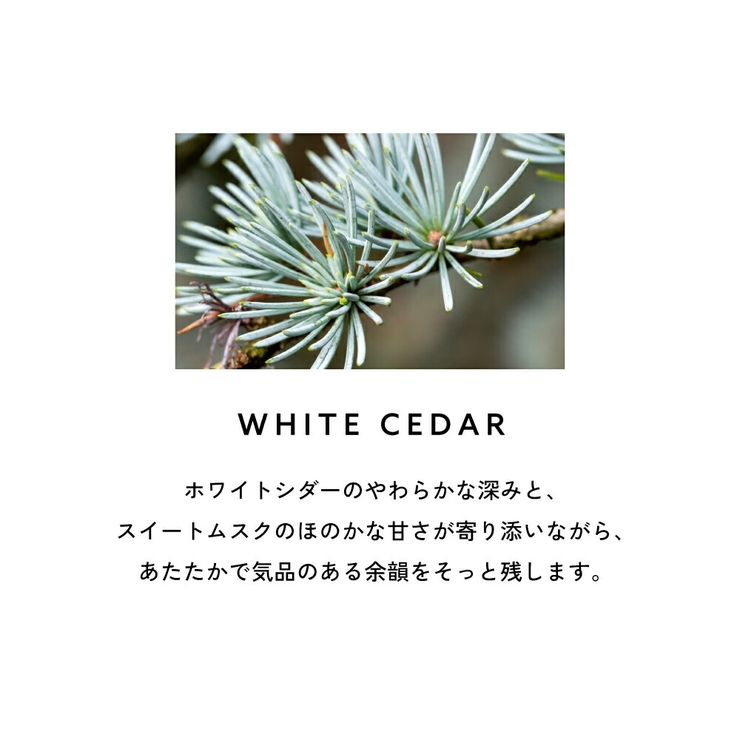 ランバン エクラドゥアルページュ オードパルファム 30mL 50ｍL | U.HEALTH＆BEAUTY  | 詳細画像9 