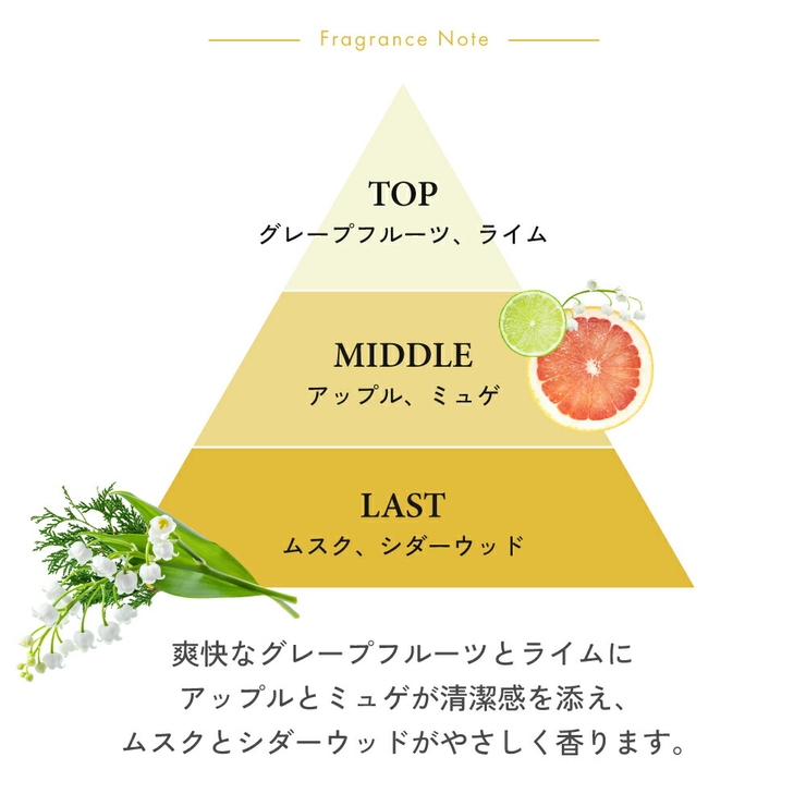 ラッドスカイ エーエム オードトワレ 50ml 正規品 RADSKY 香水 | U.HEALTH＆BEAUTY  | 詳細画像2 