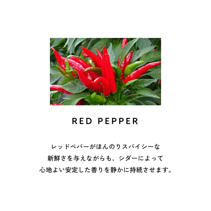 サムライ オードトワレ 100mL 香水 | U.HEALTH＆BEAUTY  | 詳細画像10 
