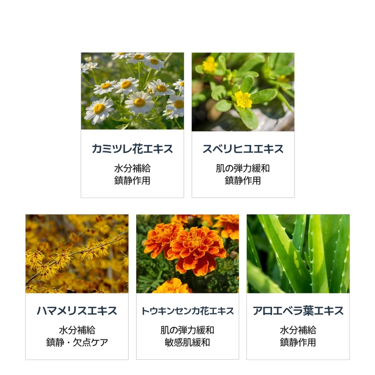 韓国で50万個販売!にきびケア!ニキビ皮脂調節洗顔フォーム+化粧水+クリームべた… | VICLE | 詳細画像11 