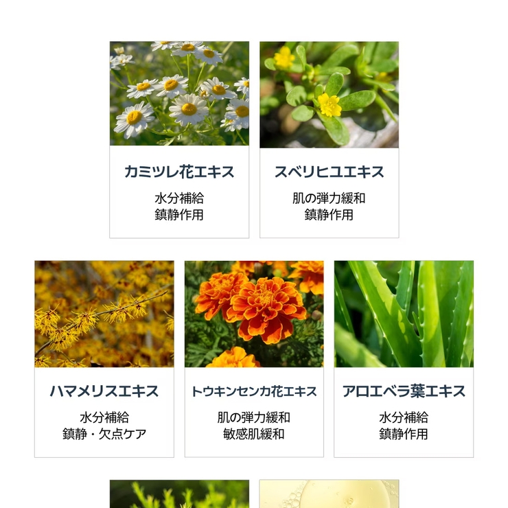 【1+1】大容量300mlトナー2個+デイリーセルフパッドGift 韓国コスメ … | VICLE | 詳細画像11 