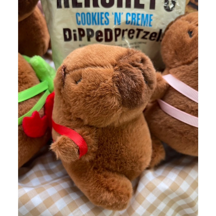 リュックカピバラぬいぐるみキーホルダー | WEGO【WOMEN】 | 詳細画像1 