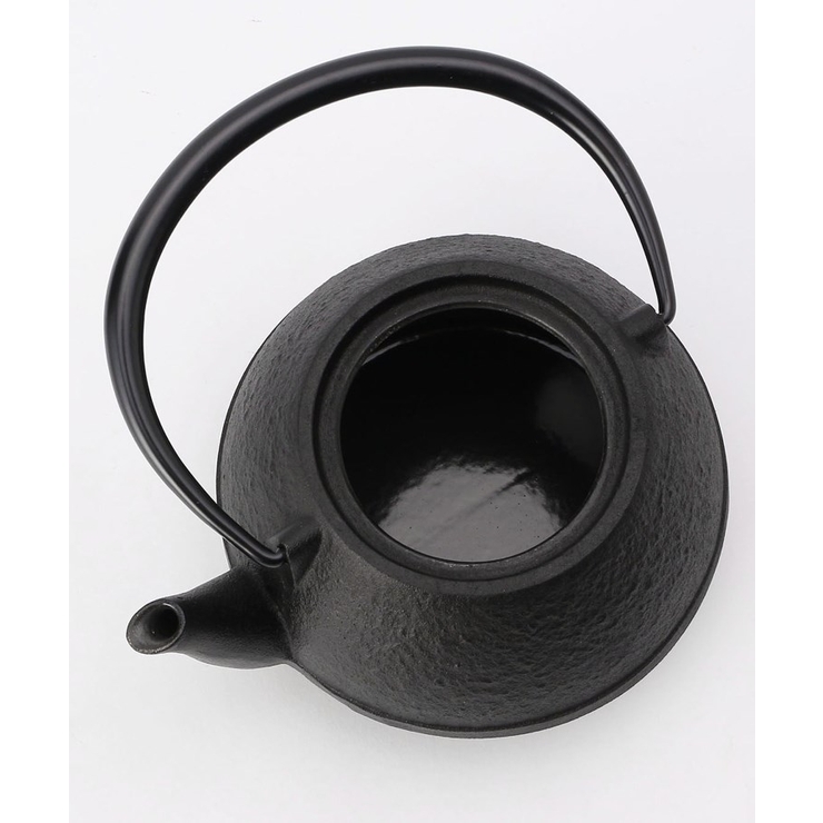 OIGEN（及源）南部鉄器 急須 たまご型 0.55L | 212 KITCHEN STORE | 詳細画像2 